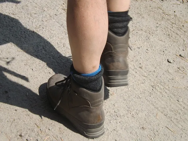 hiking 358555 640