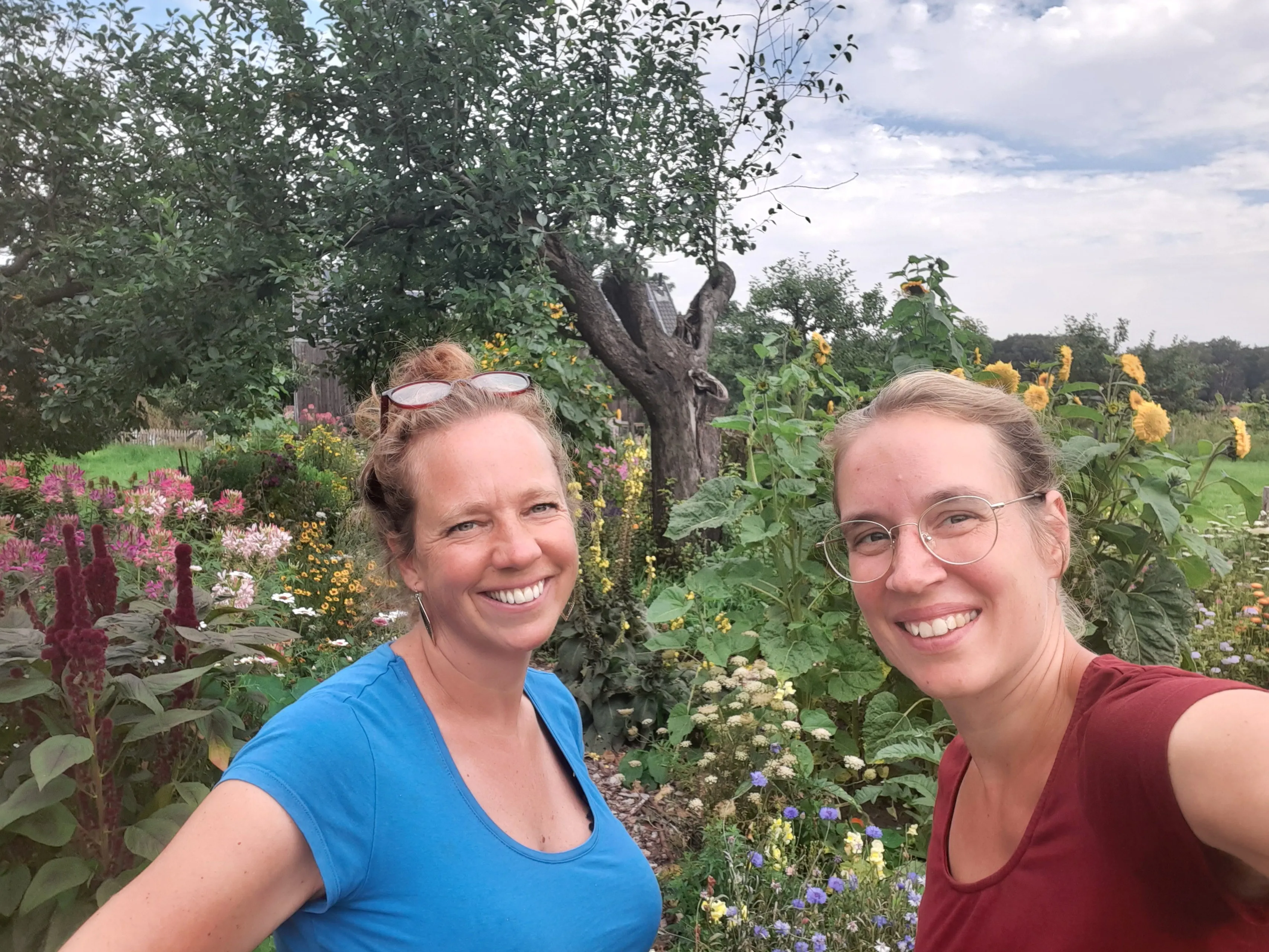 nijmeegsbloemenlandje rechtenvrij