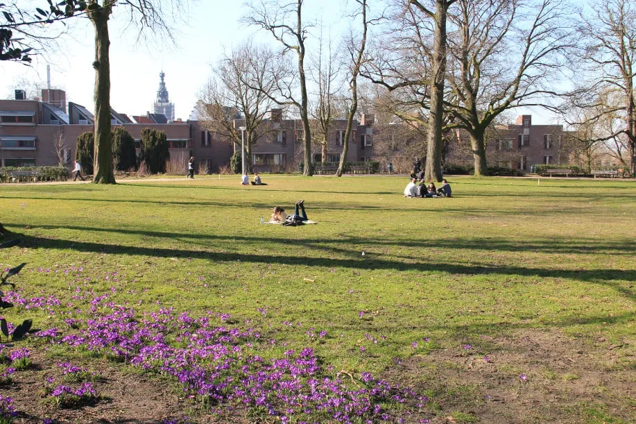 park zon