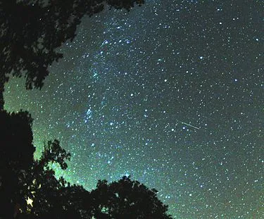 perseid meteorwikipedia 2007