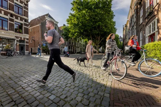 sanquindonorsgezocht