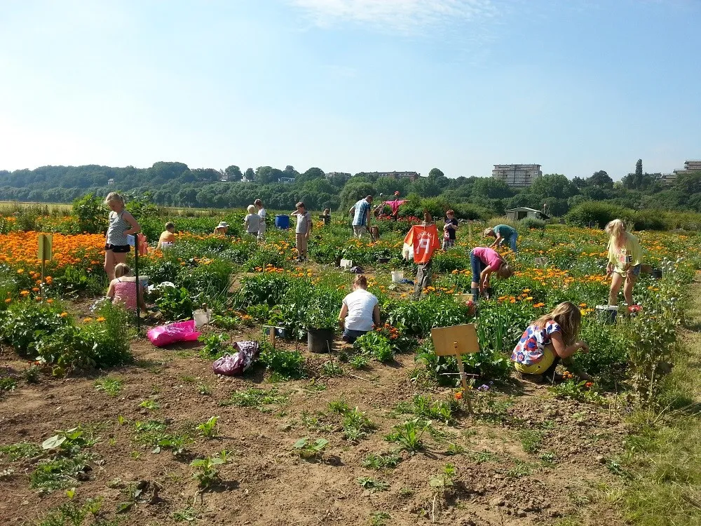 schooltuinde wielewaal