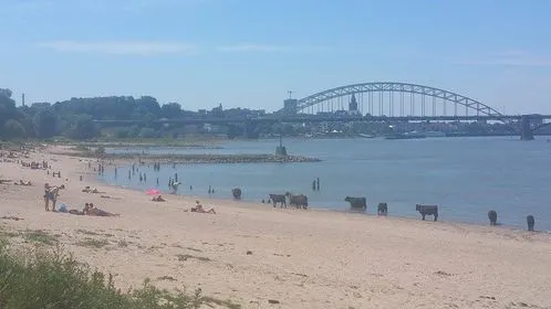 waalstrand sher kaareman n