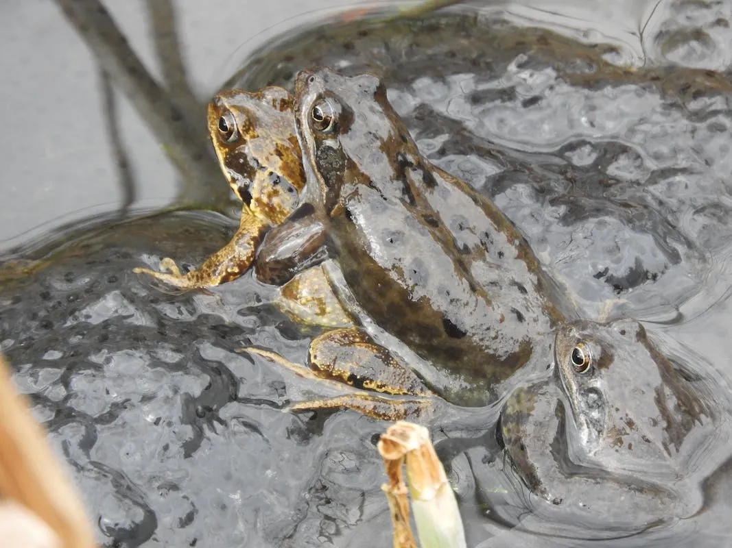 werkgroep botanische tuin