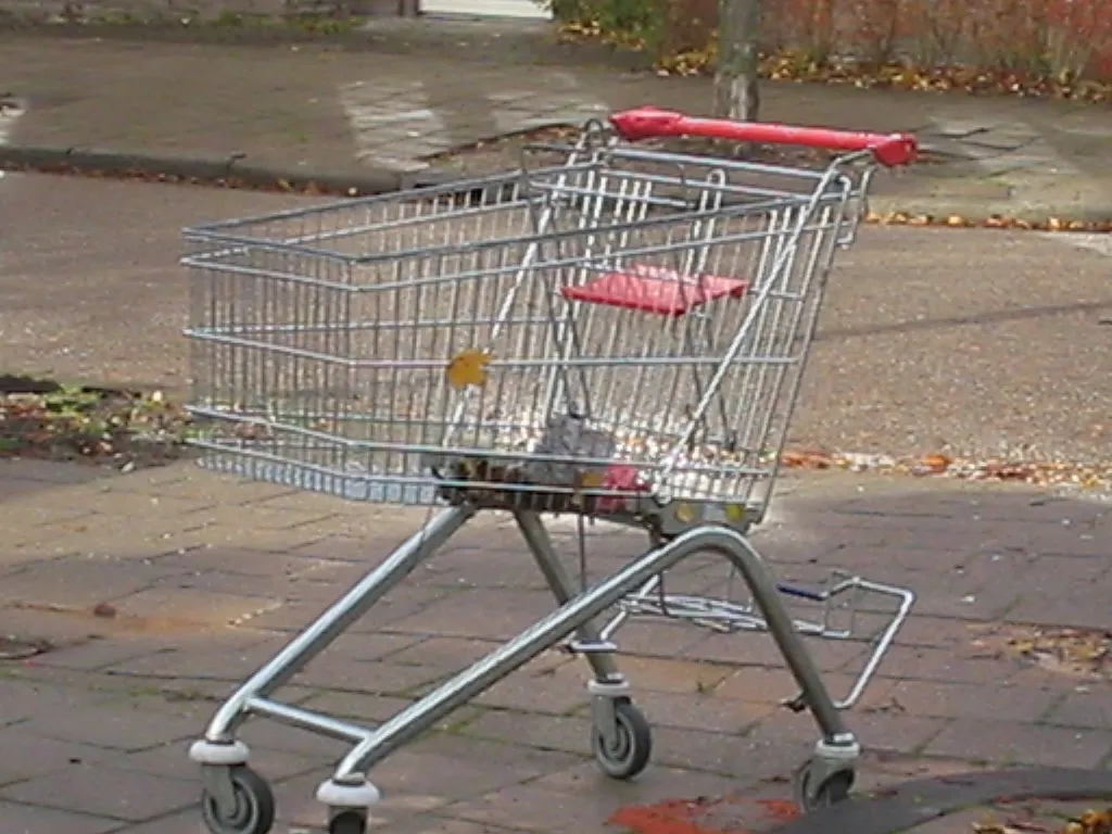 winkelwagen