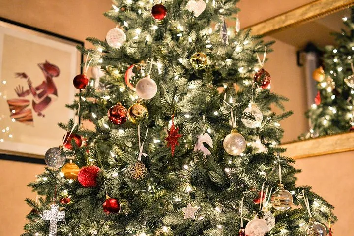 christmas tree 1081981 480