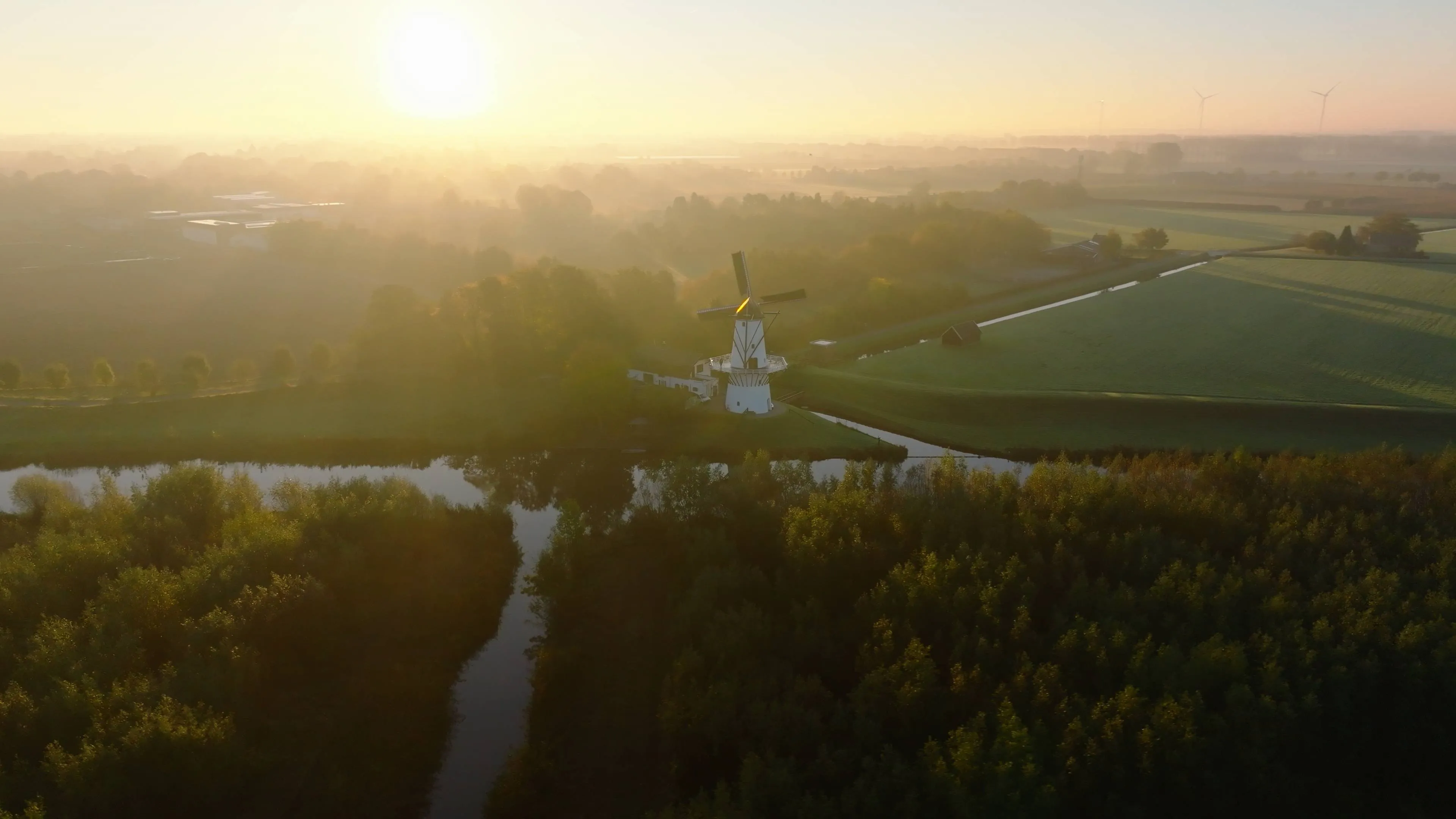 betuwe molendevlinderdeiljpg
