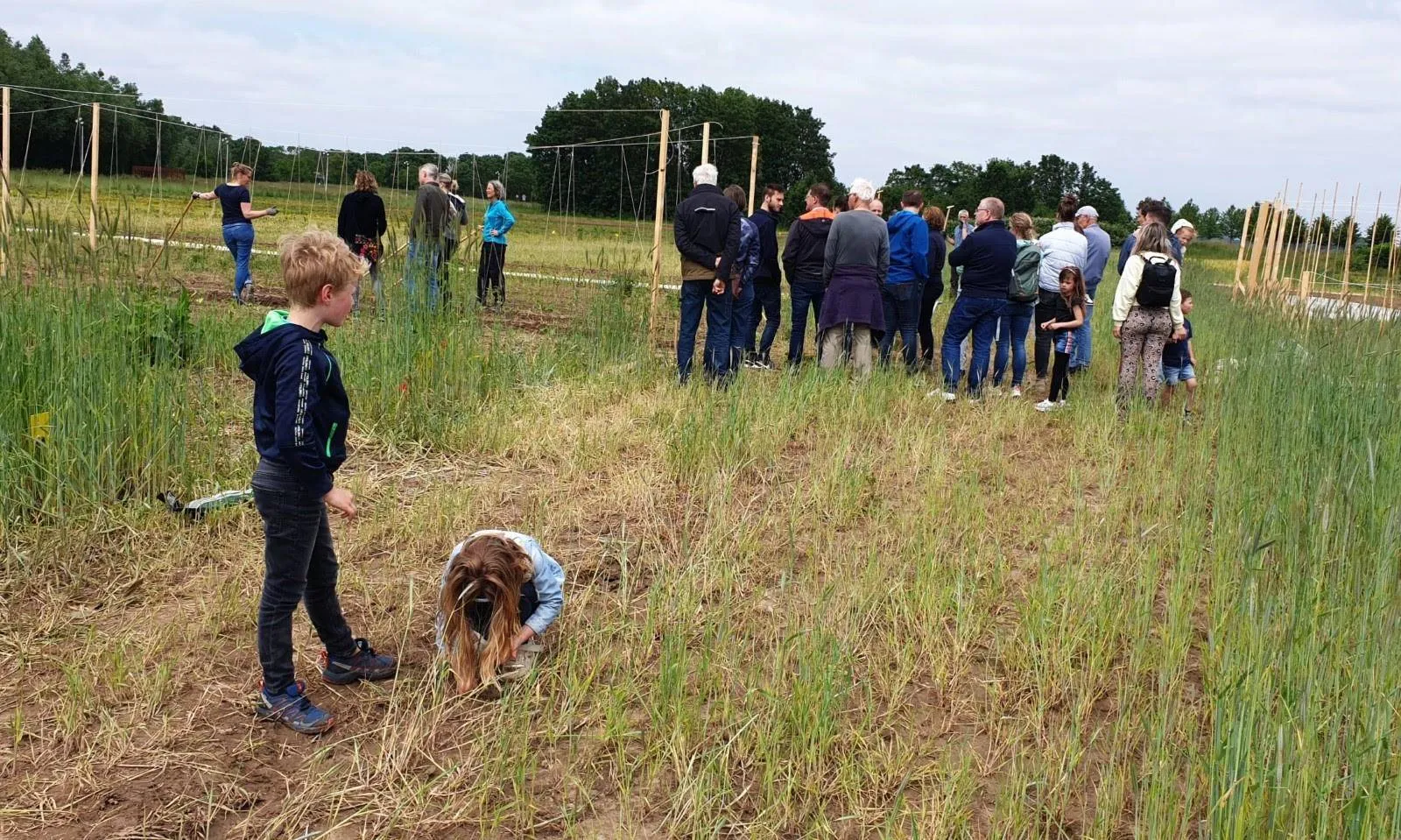 hereboeren lingezegen c jitske jonkman