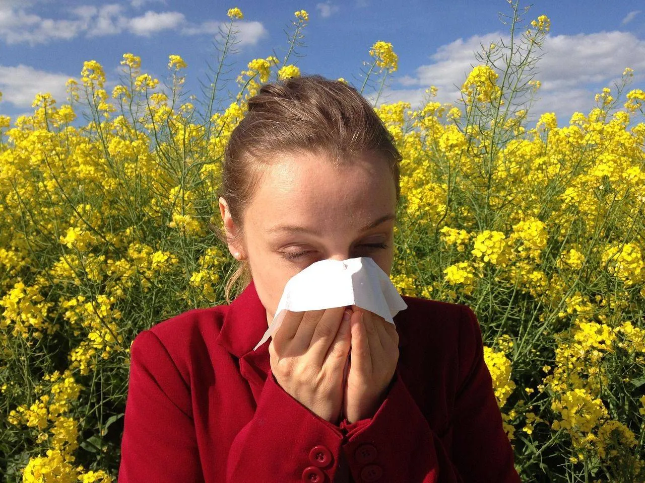 allergy-1738191_1280 pixabay