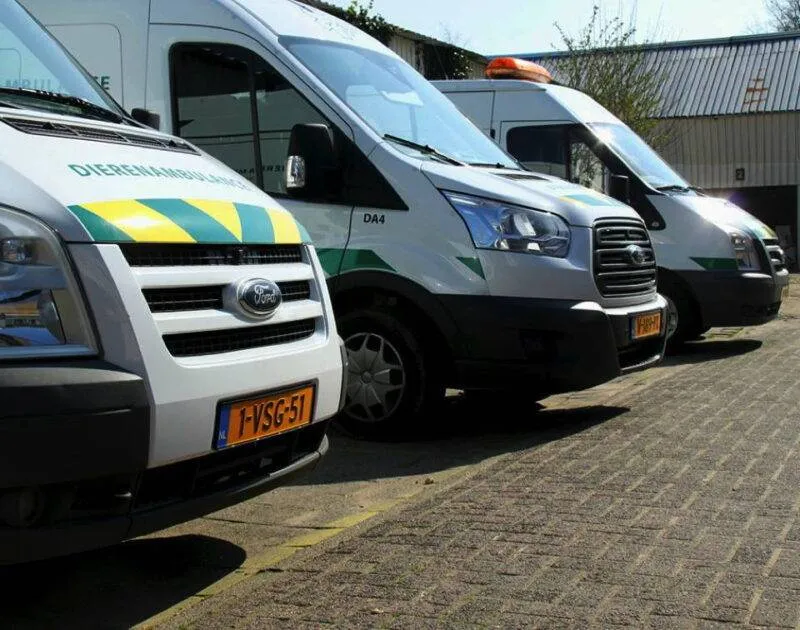 dan_ambulances_home_960x756-800x630