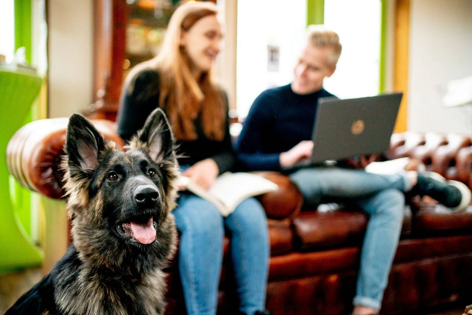 HVHL-hond-studenten
