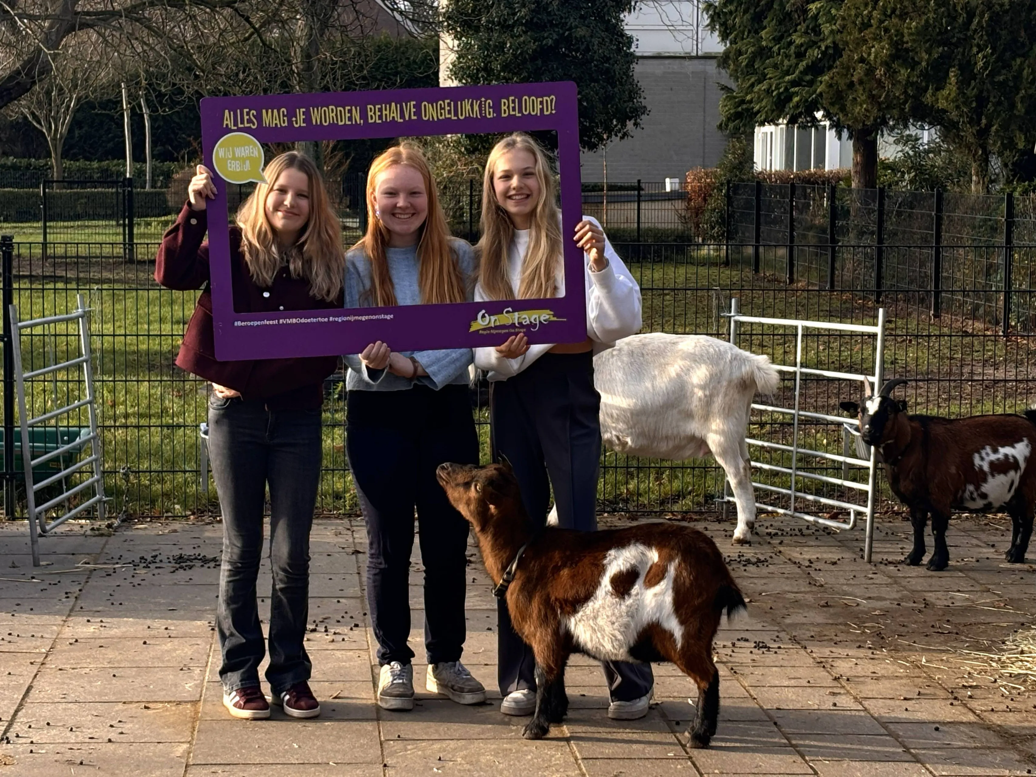 Foto 1 - Fay, Isis en Janne bij de geitjes