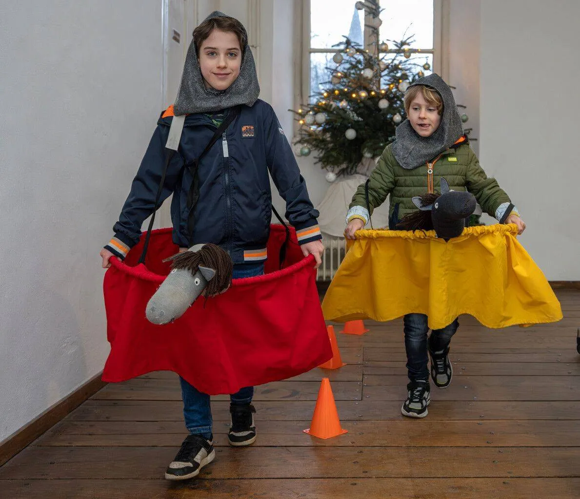 Ridder-gezocht-hernen