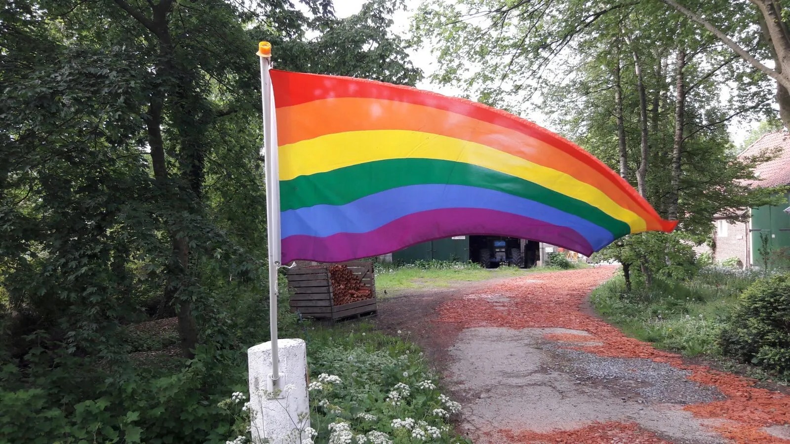 11 01 2018 vlag lhbt