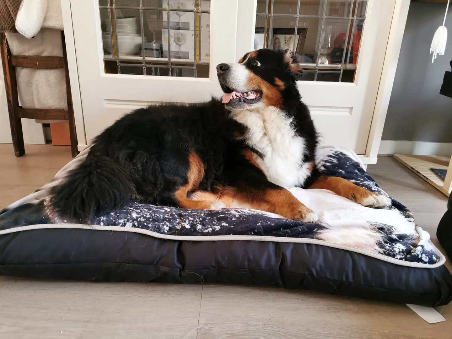 119399334 10225059702218676 8222171157570440075 o