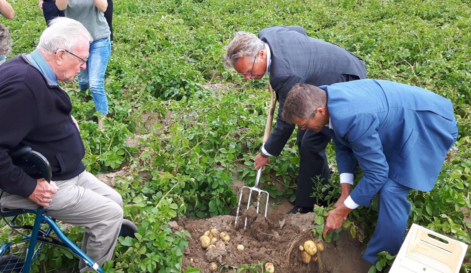 180711 oogst koninklijke aardappel