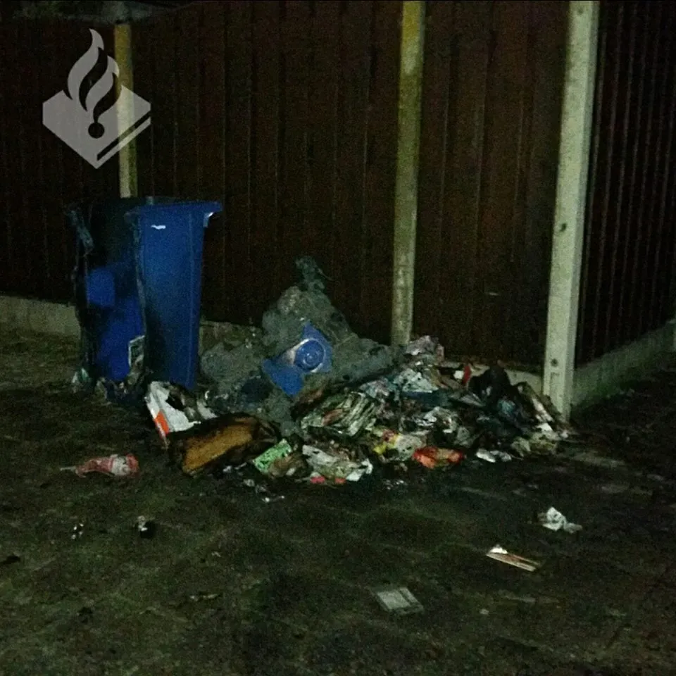 18664165 1892763090990287 2104958710955853277 n