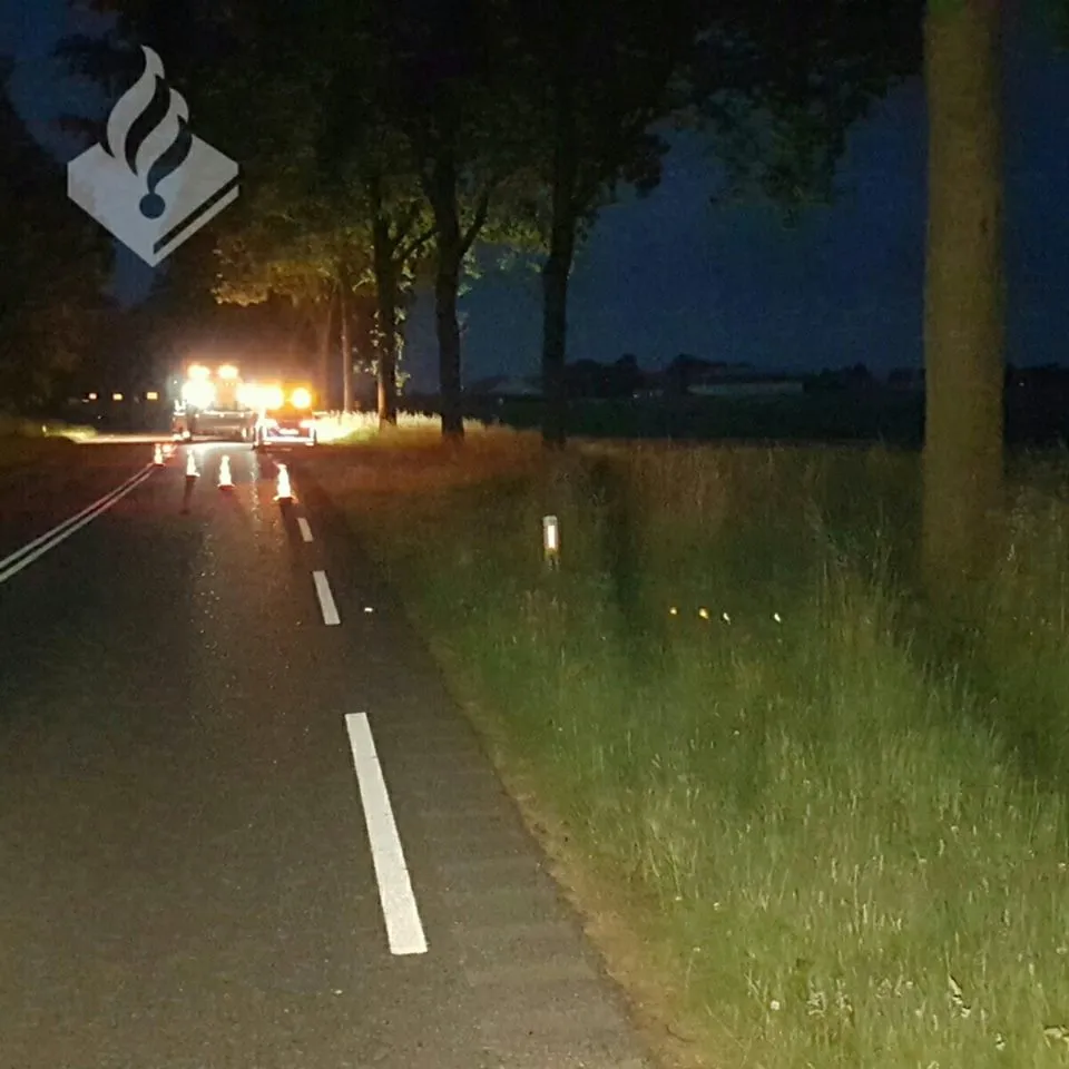 18740420 1895060867427176 314829426191960948 n