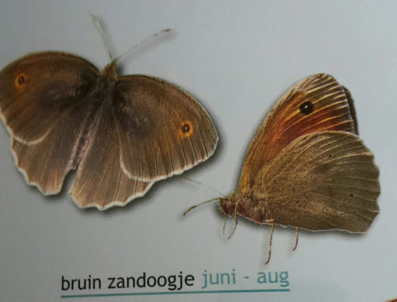 20160807 163020 2 resized 1