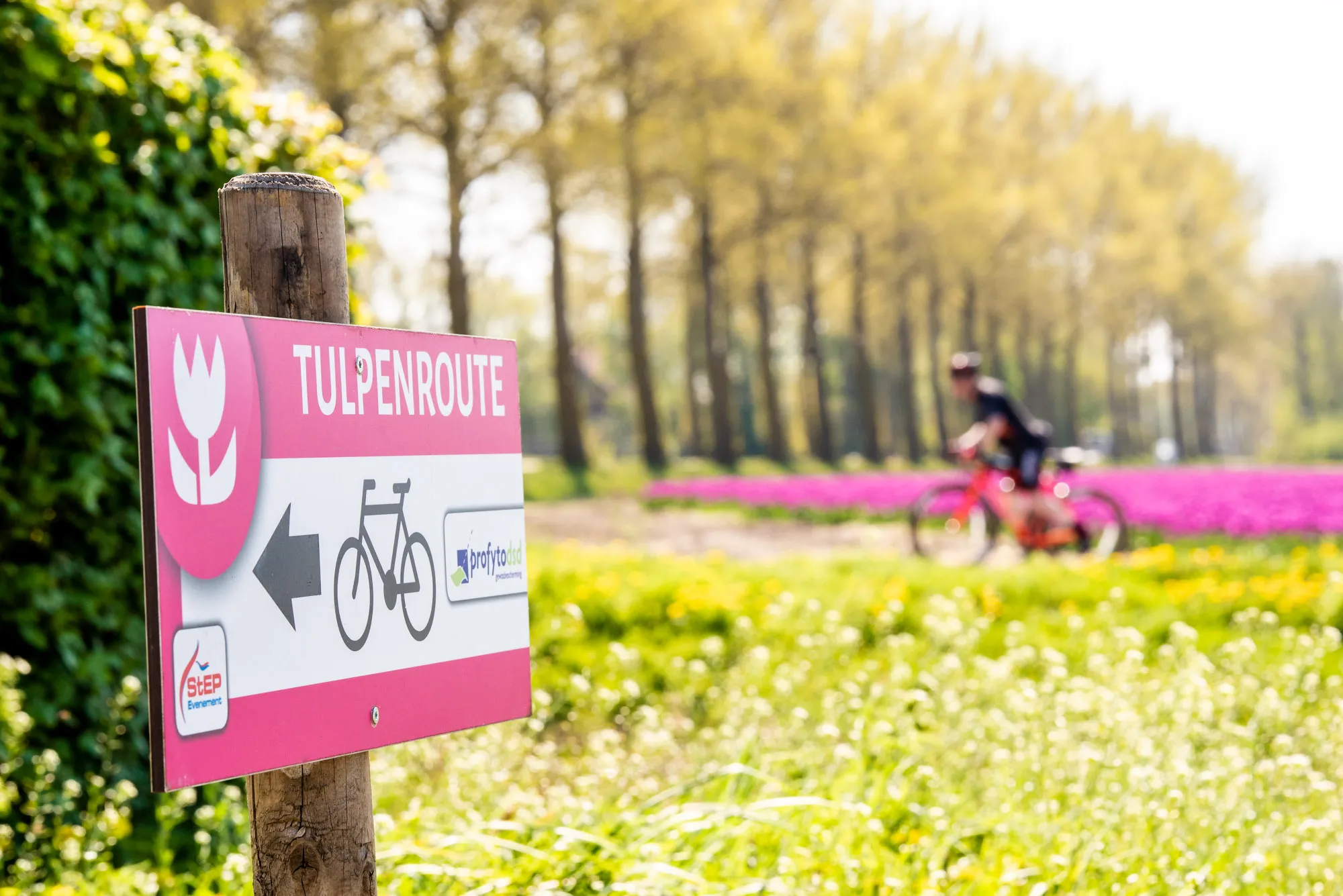 2019 tulpenfestival web 2