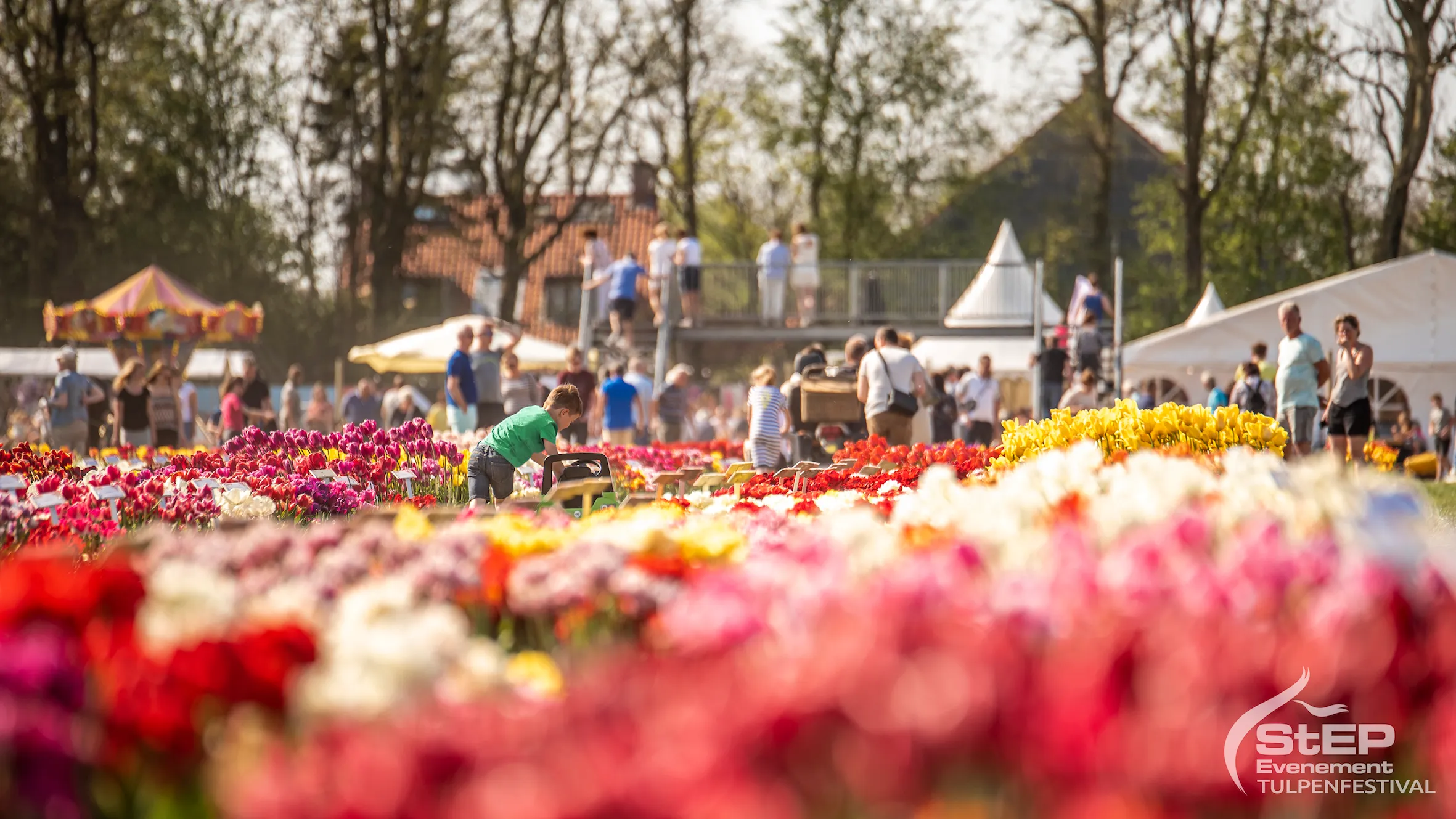 2019 tulpenfestival