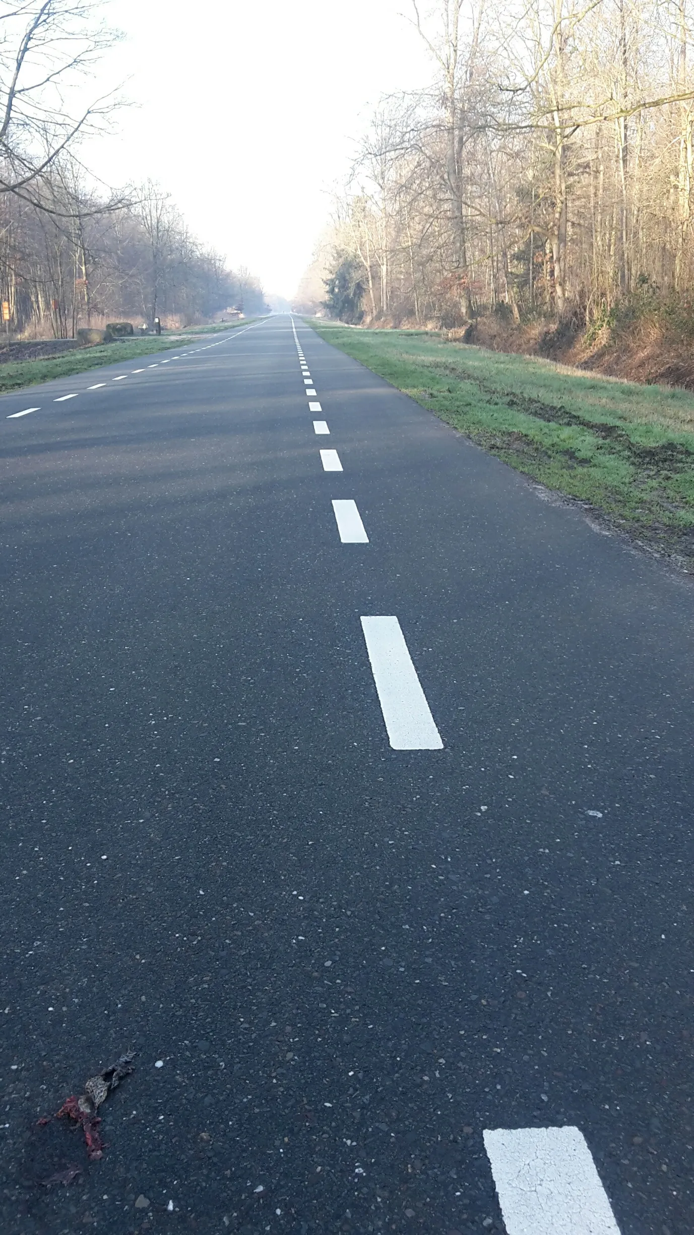 20190217 094412 1550475347224 resized