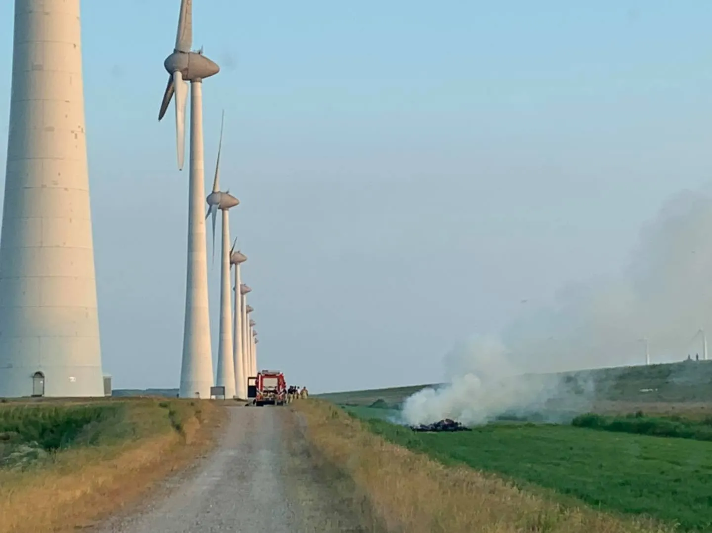 202396922 113321647645645 5577559754371106309 n