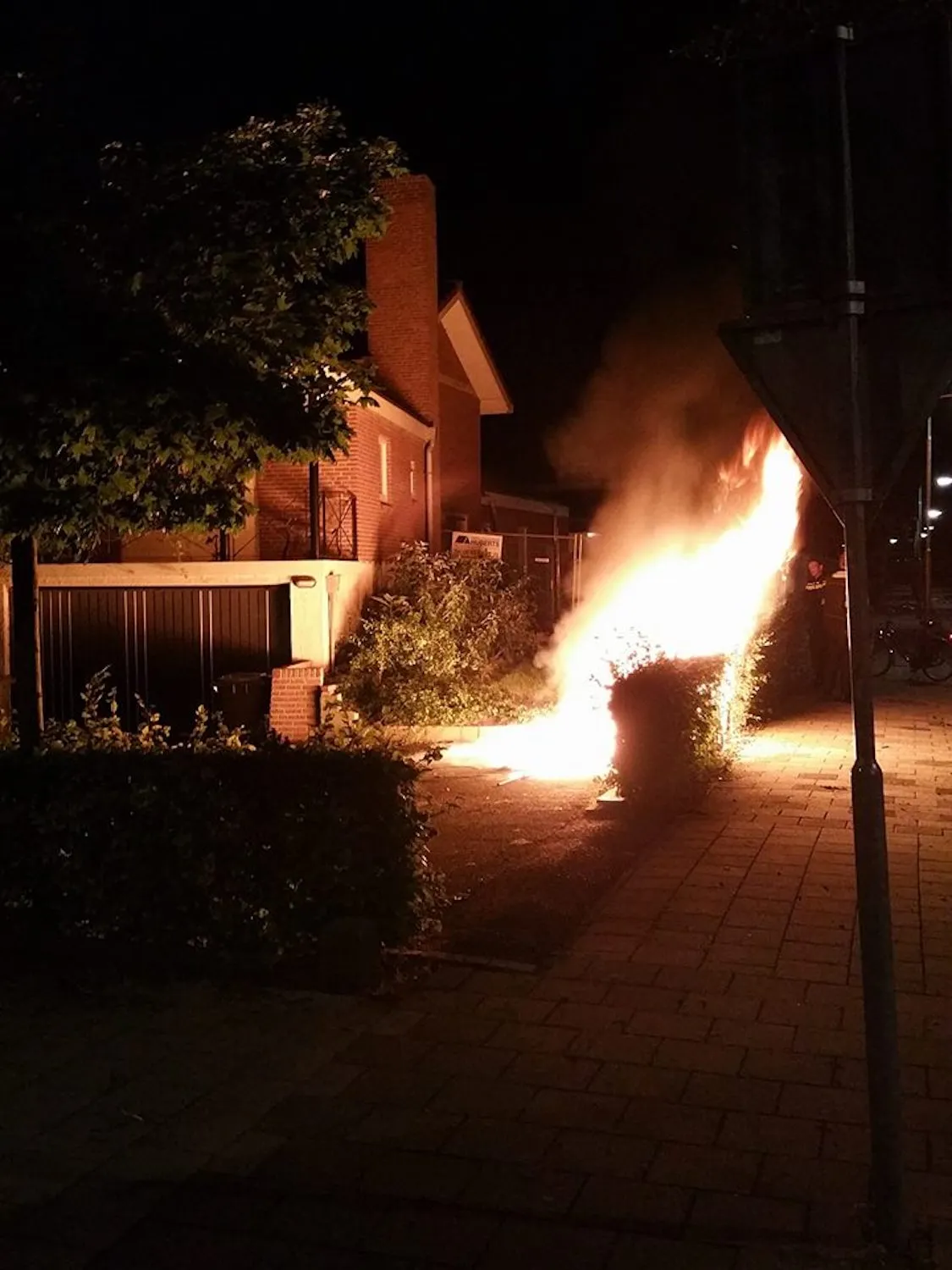 21557450 1950531891880073 2916460445170171188 n