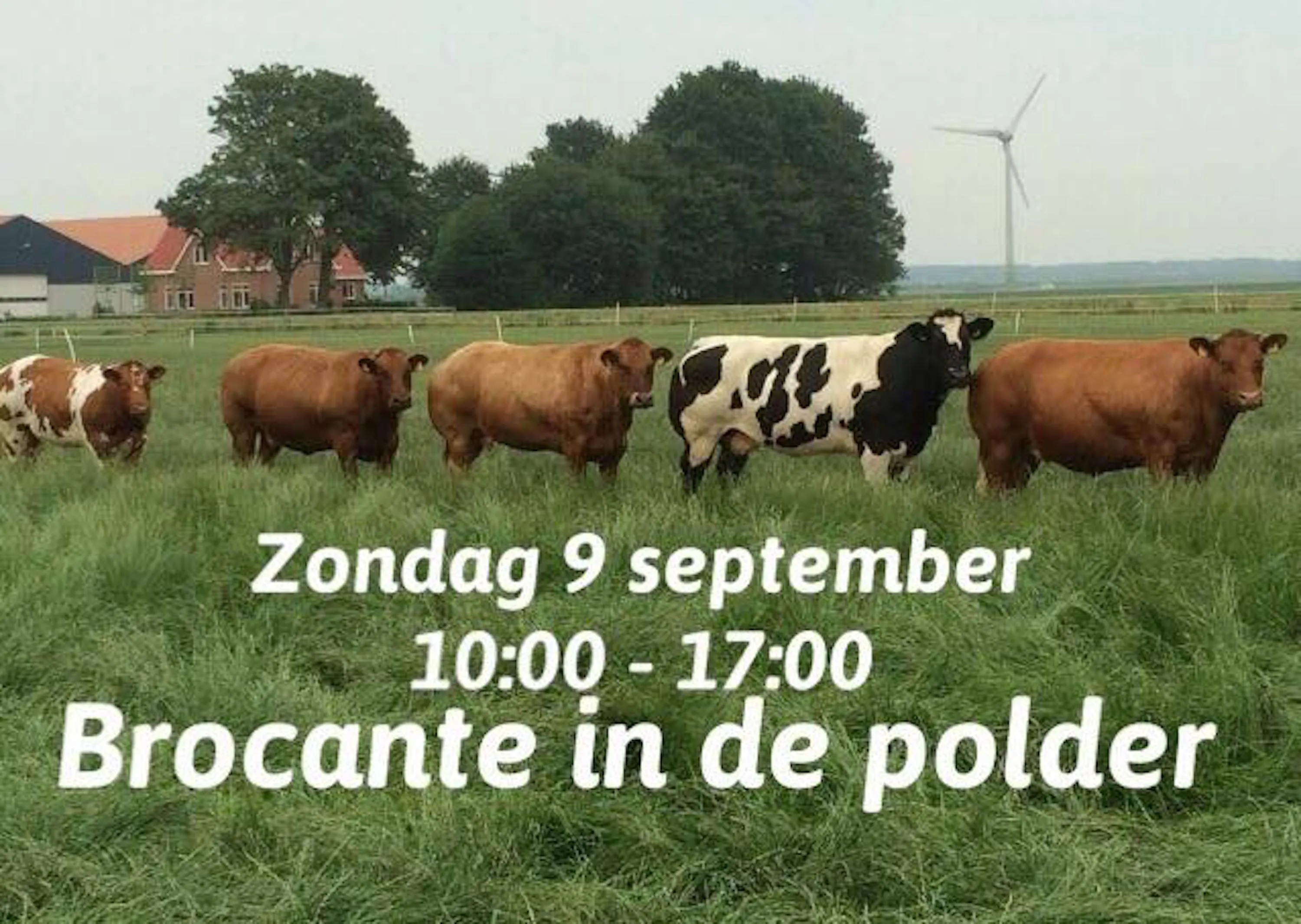 36176457 205887430241742 6547331214984871936 n