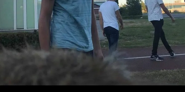 38694549 2163704923896101 4897374065997643776 o e1533549792384