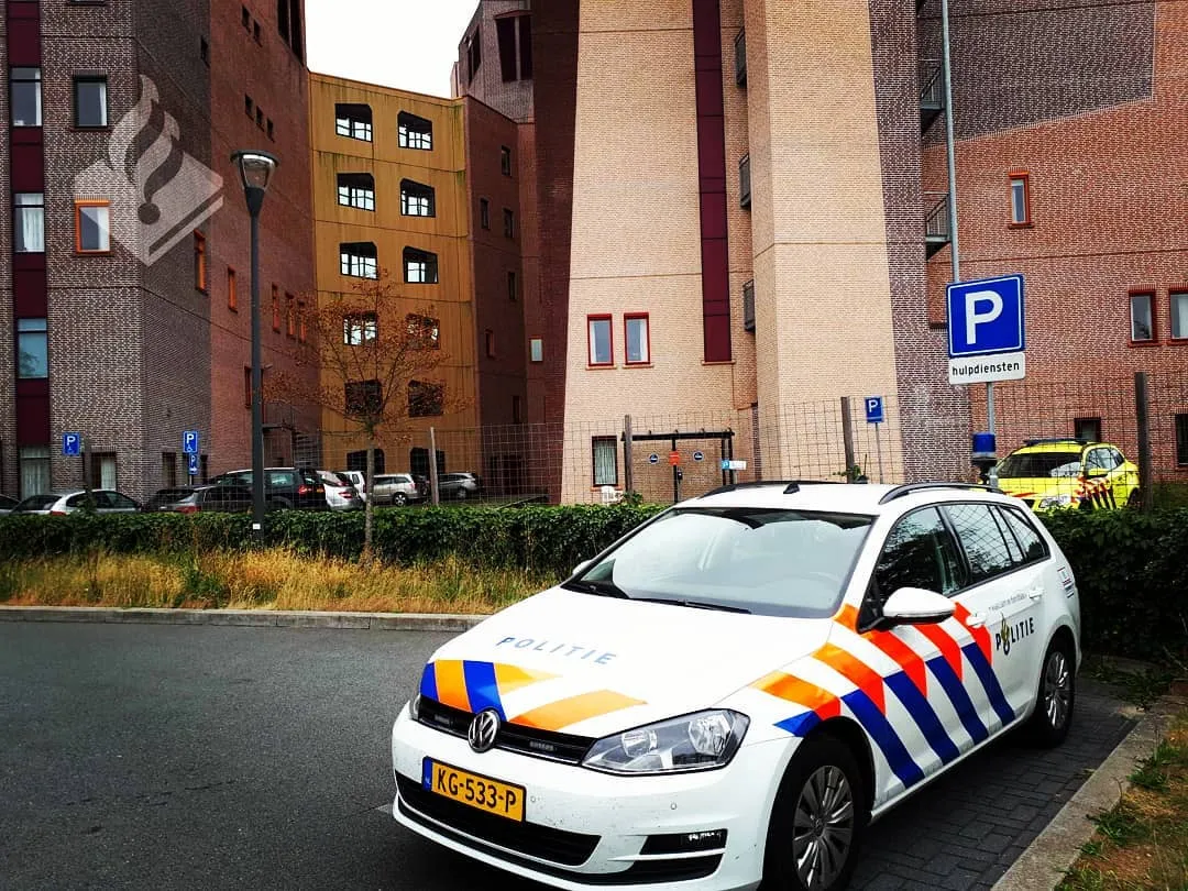 39589241 2180070465592880 671503469416284160 o