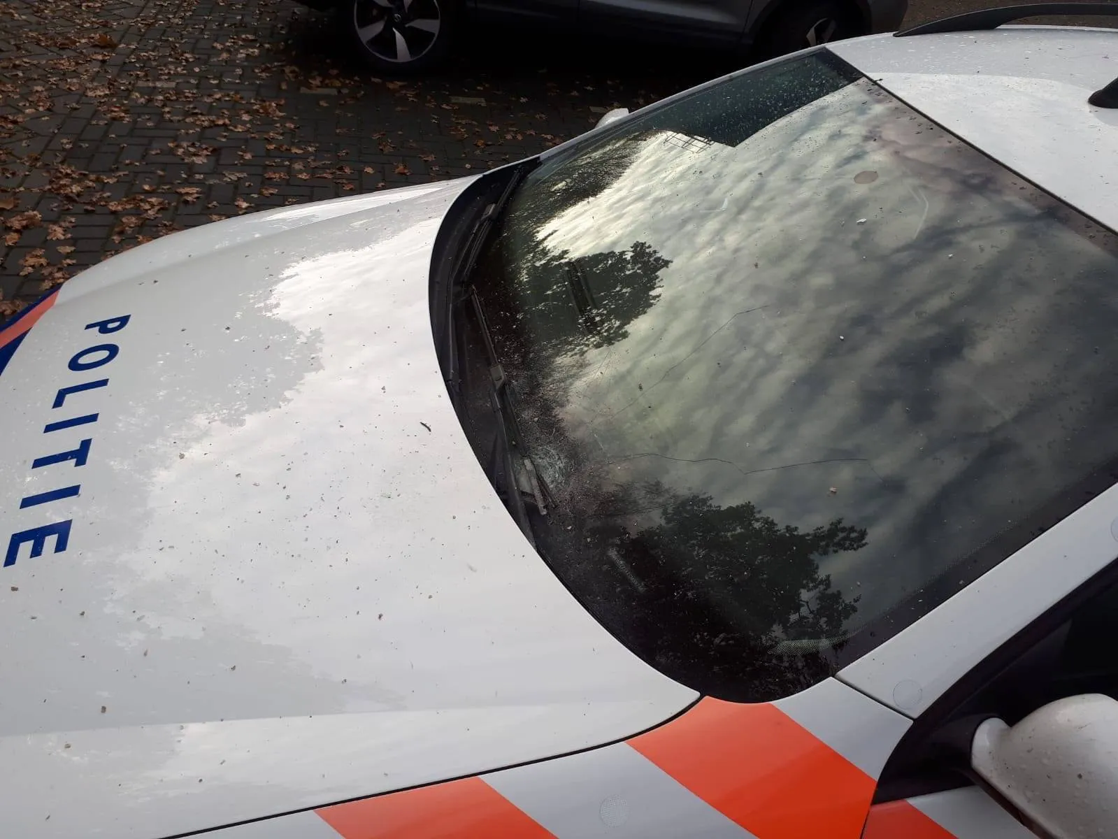 46024693 2238323989767527 8456228806921814016 o