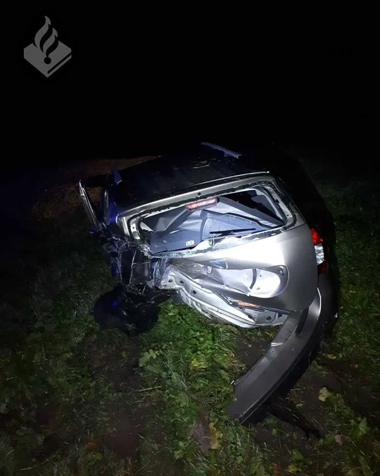 48404158 2262771603989432 5971544248560910336 n