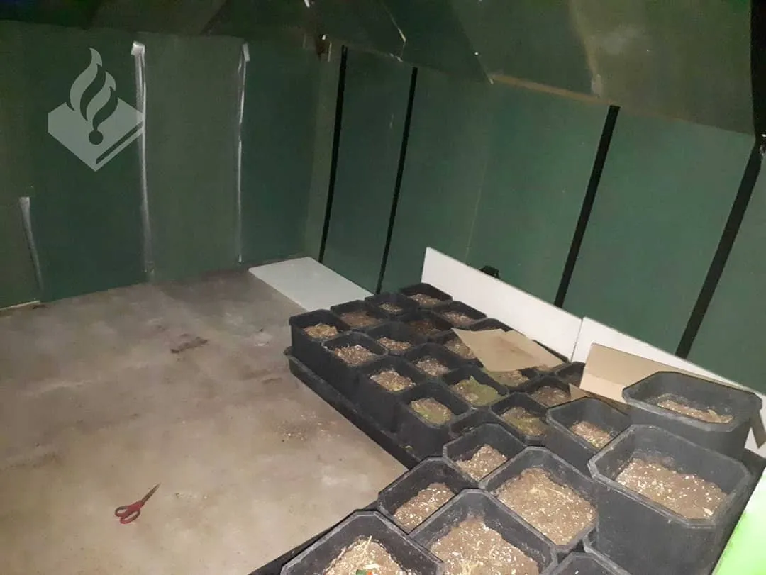 56580406 2331250363808222 737017427375685632 o