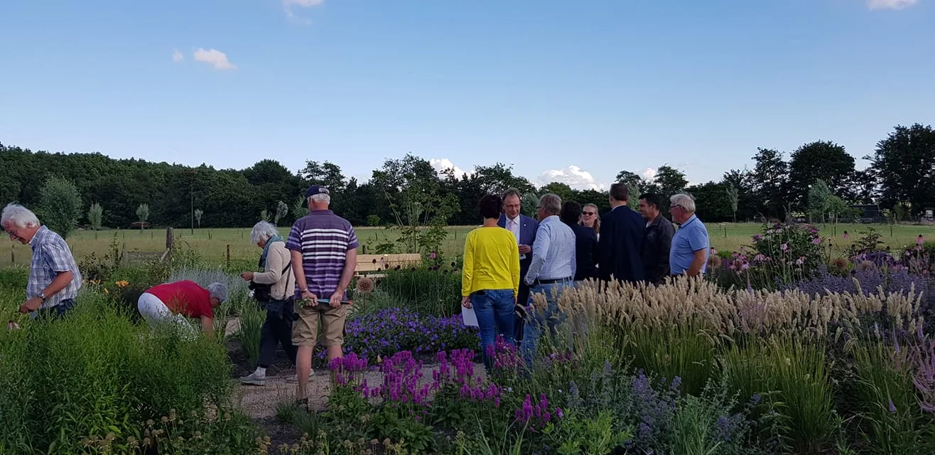 65852355 2877920895613819 7522710088813903872 o