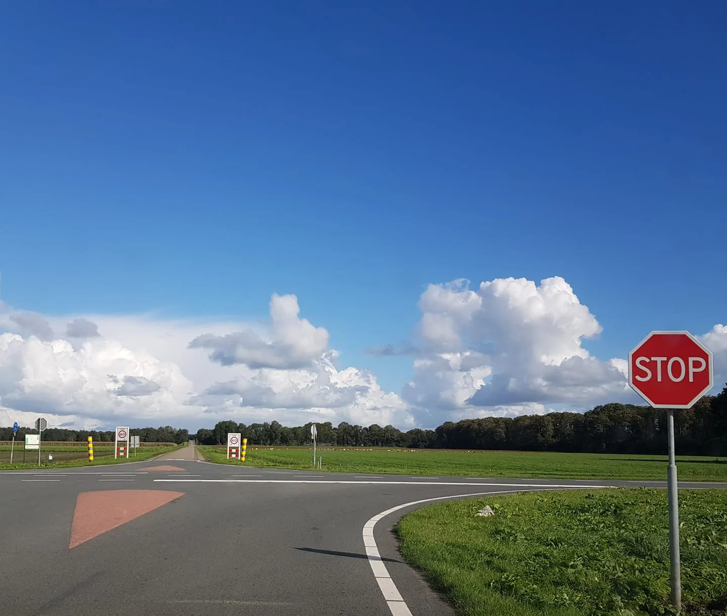 71867907 1187764564745386 6398803832775639040 o