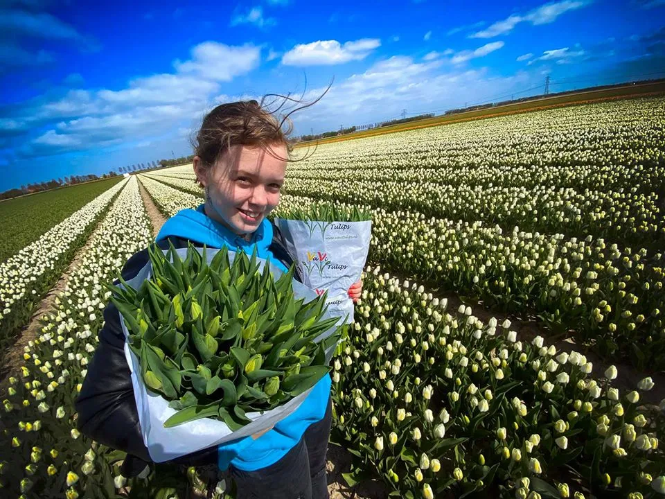 93250589 1432962986874633 9080393949960470528 o