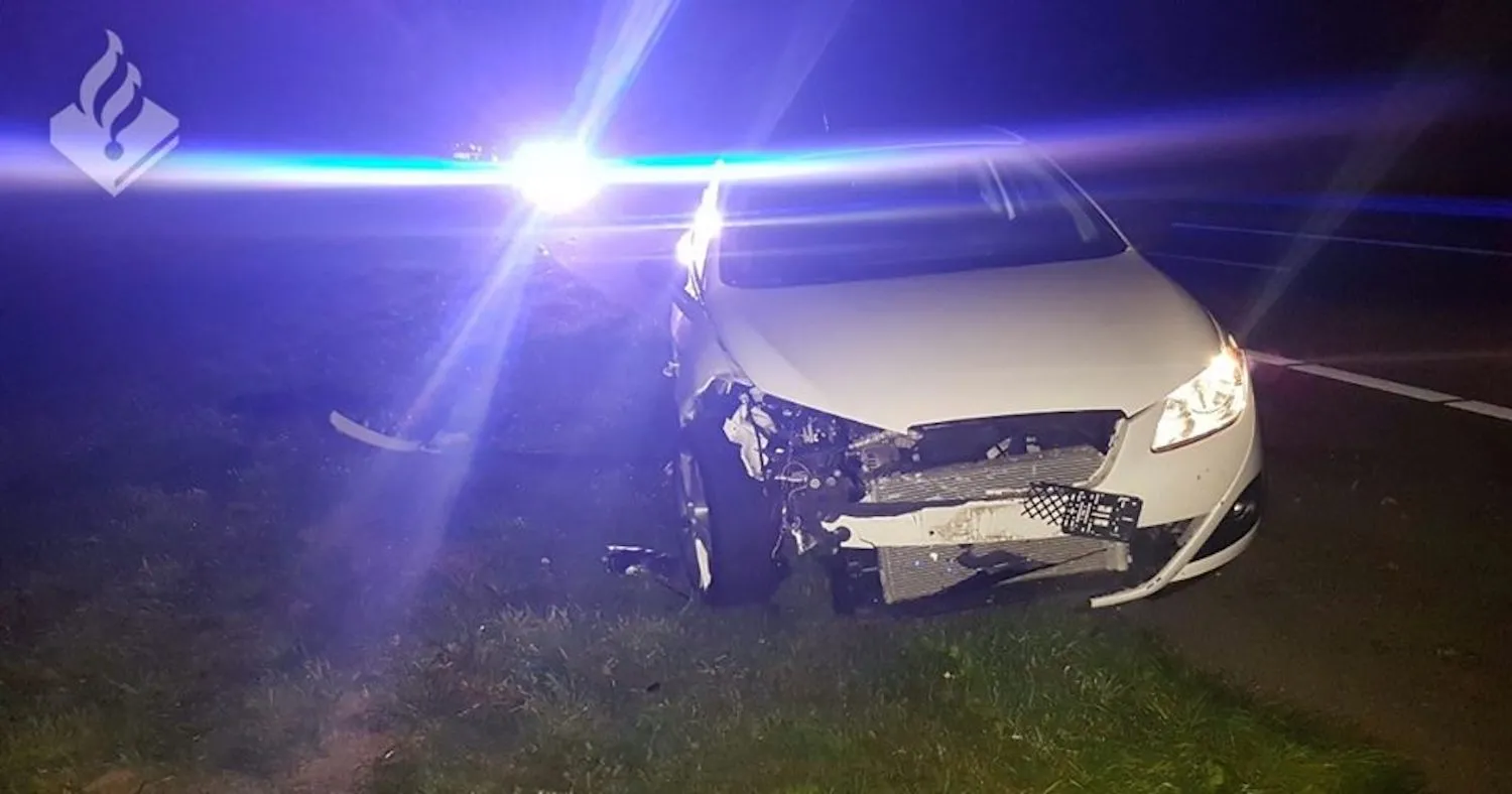 aanrijding met ree pol nopurk