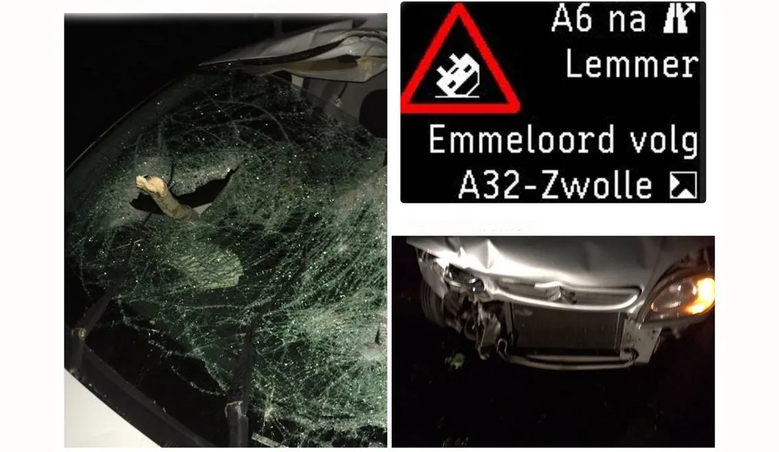 aanrijding omgevallen boom a6