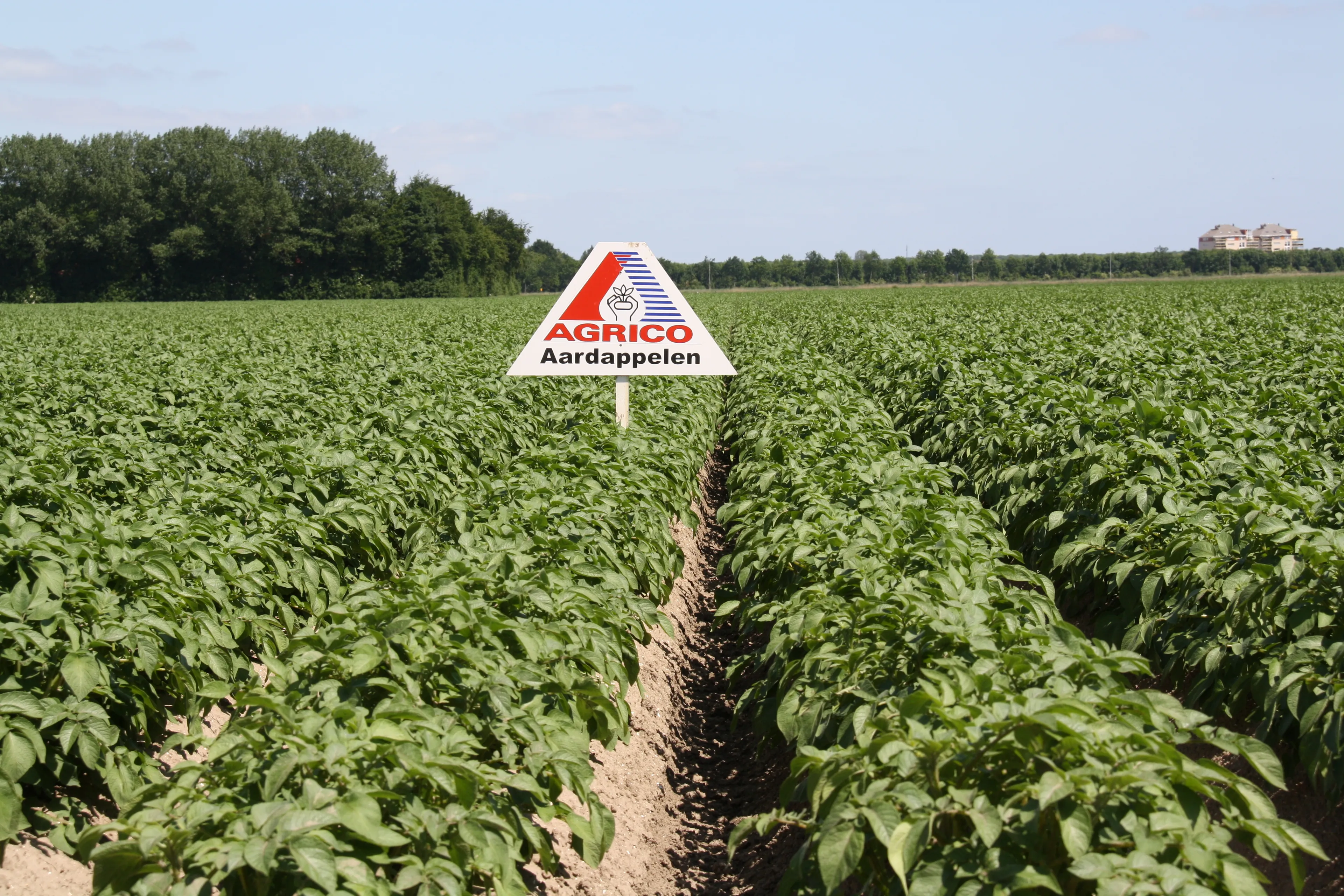 agrico veld