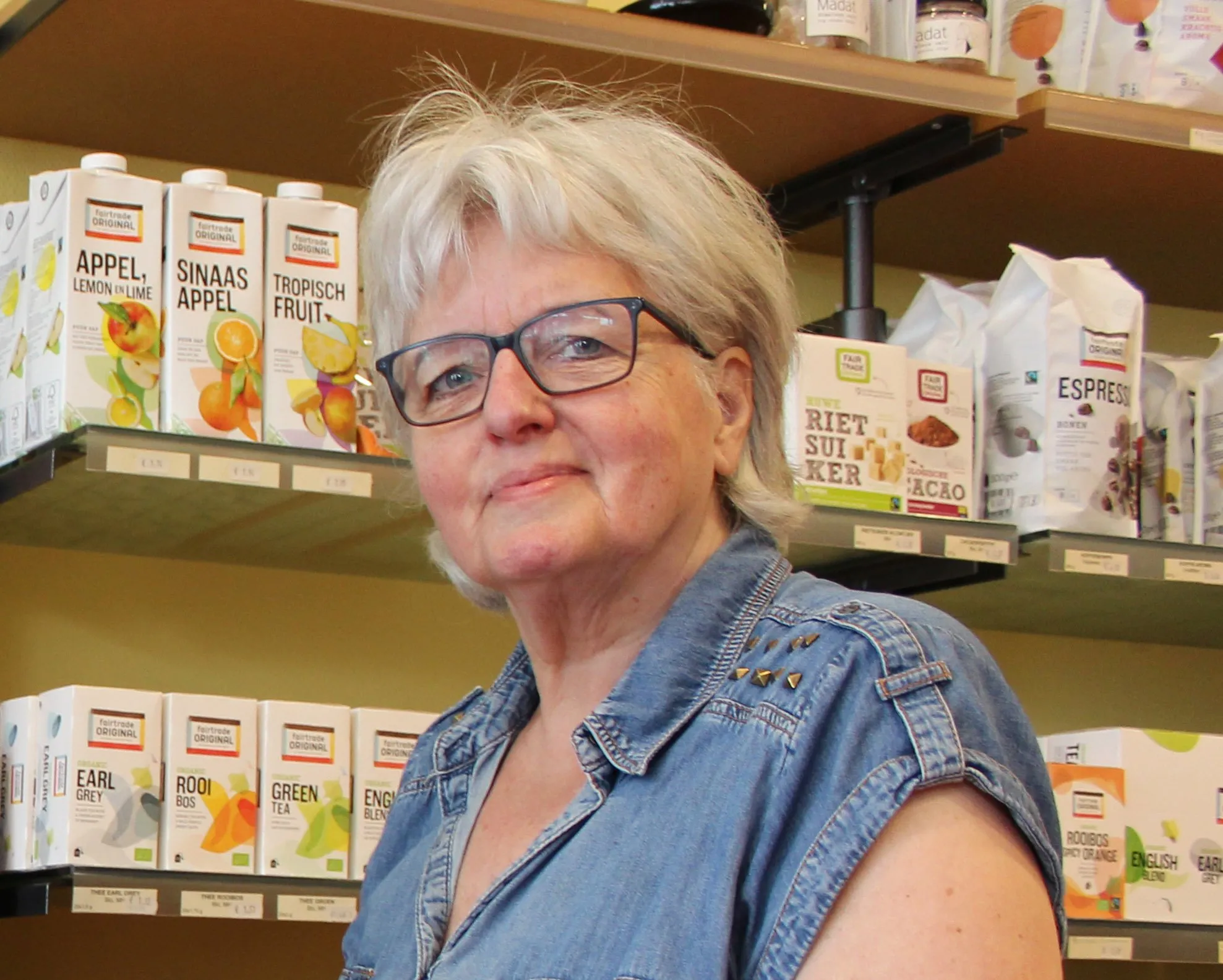 anny van zwol