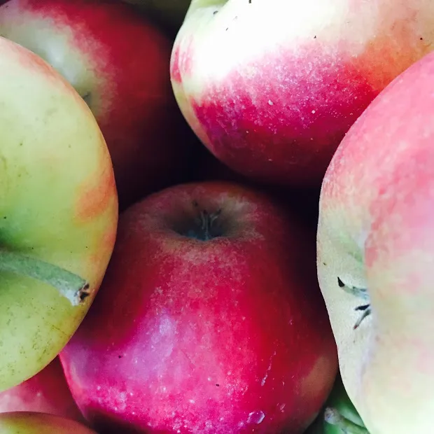 appels