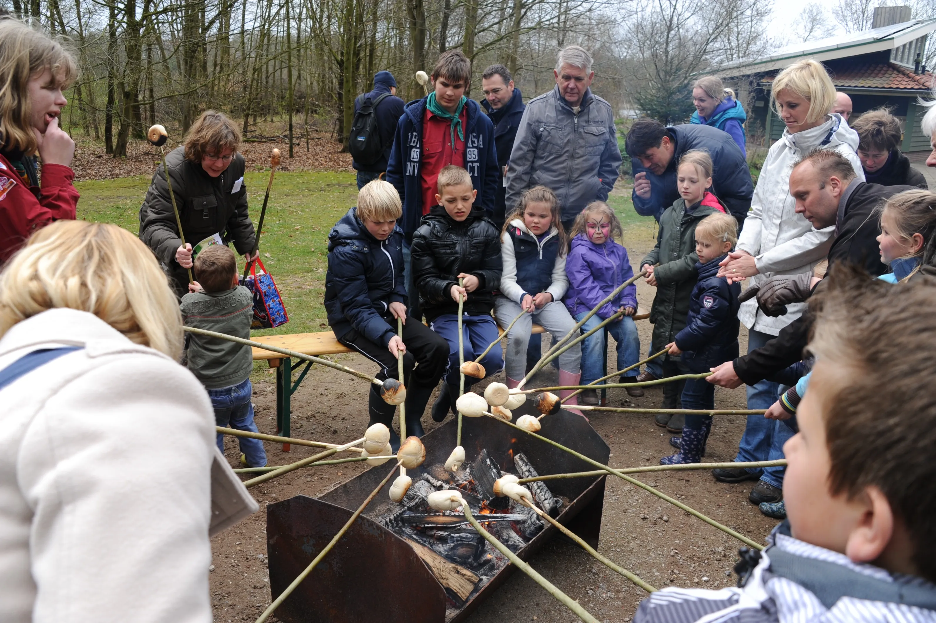 bd broodjes bakken