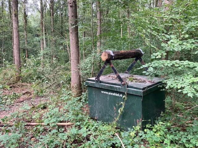 boswerk img 2389