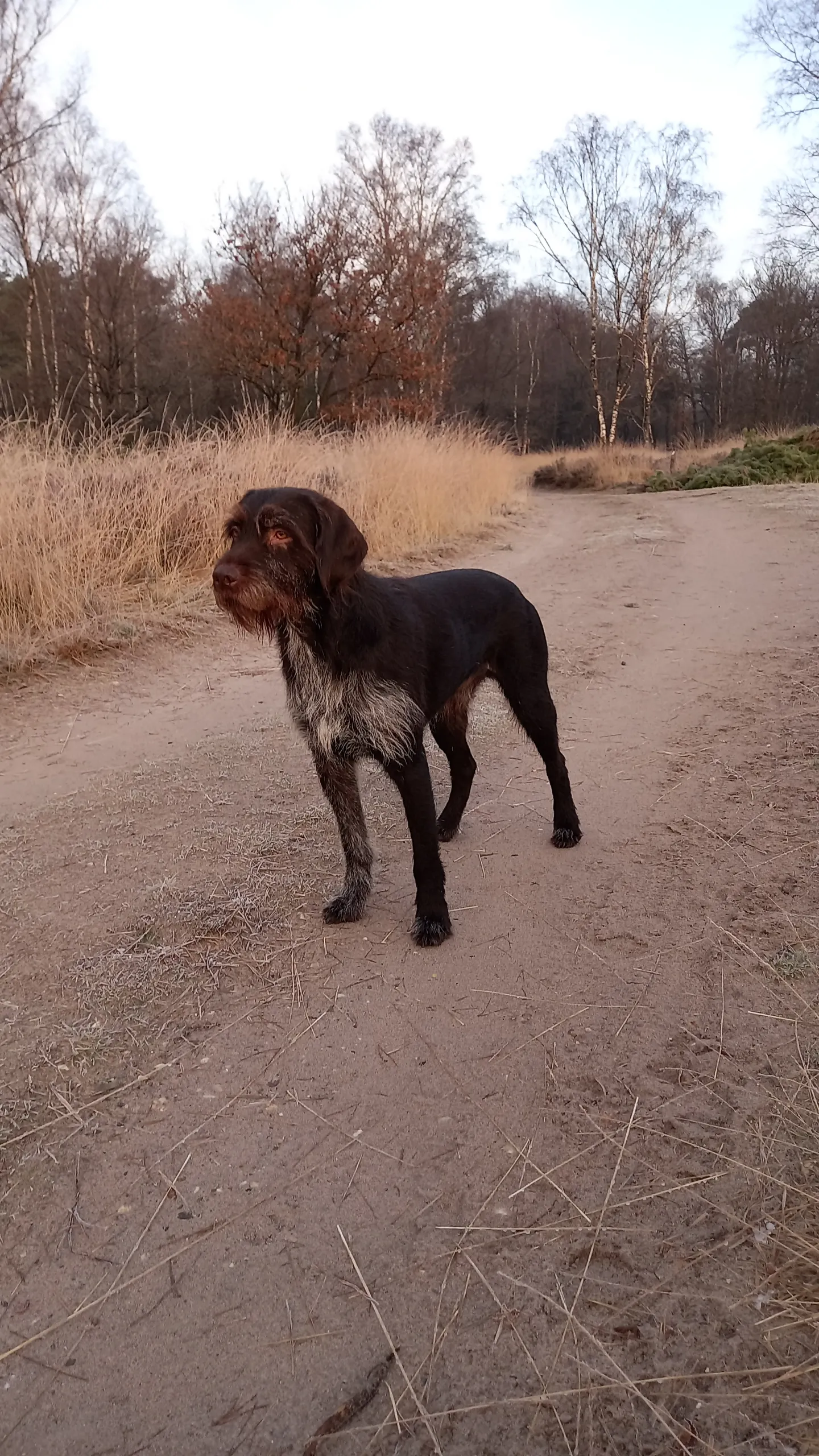 bram img 20220108 wa0004