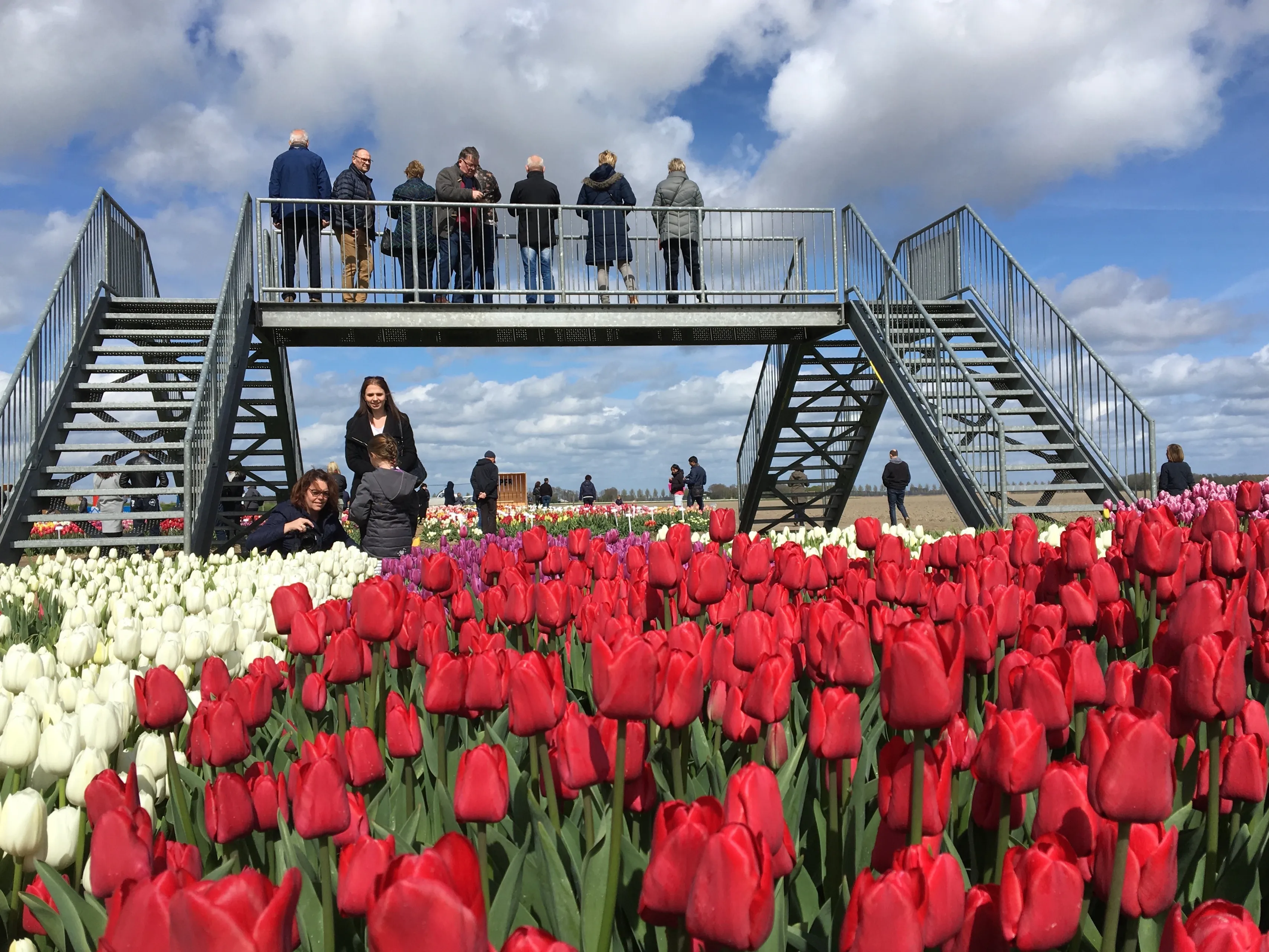 brug met tulpen 300 dpi