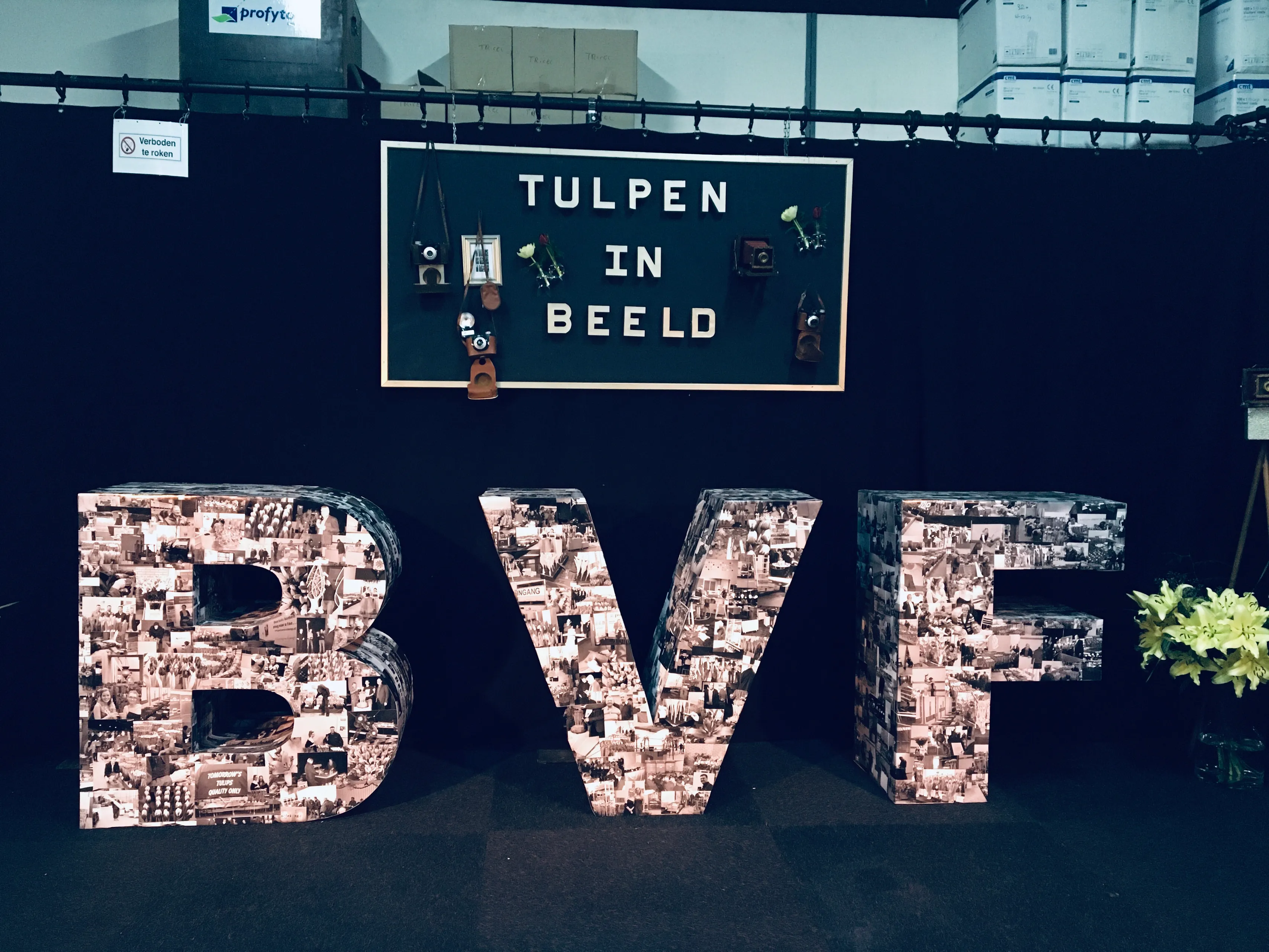 bvf img 9216