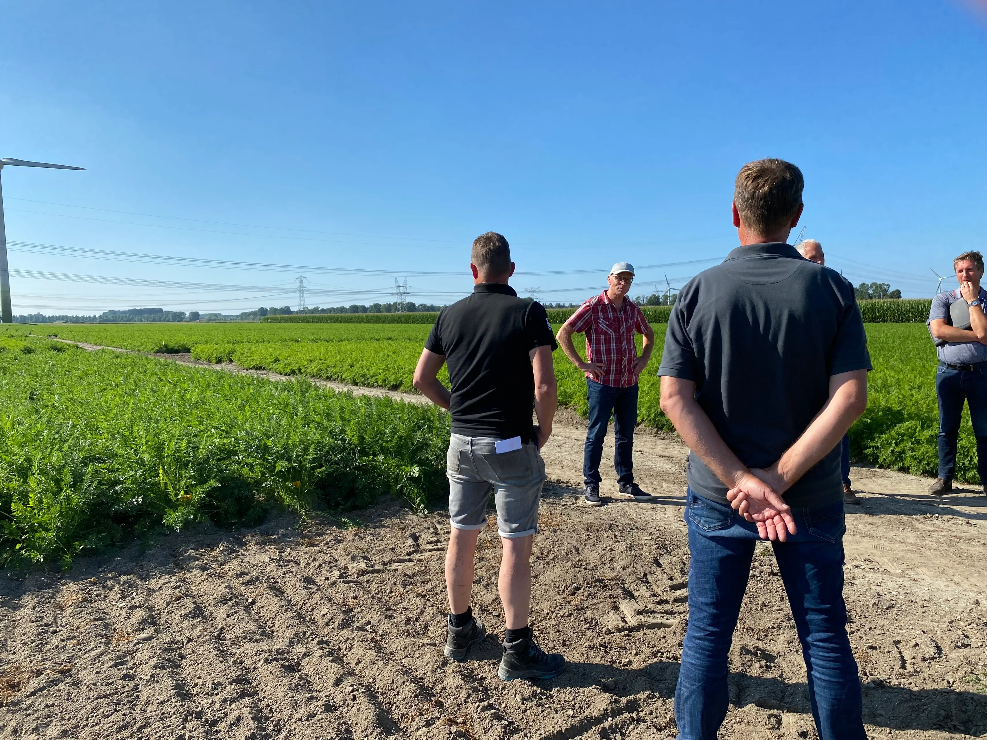 c innovatiespeenoktober