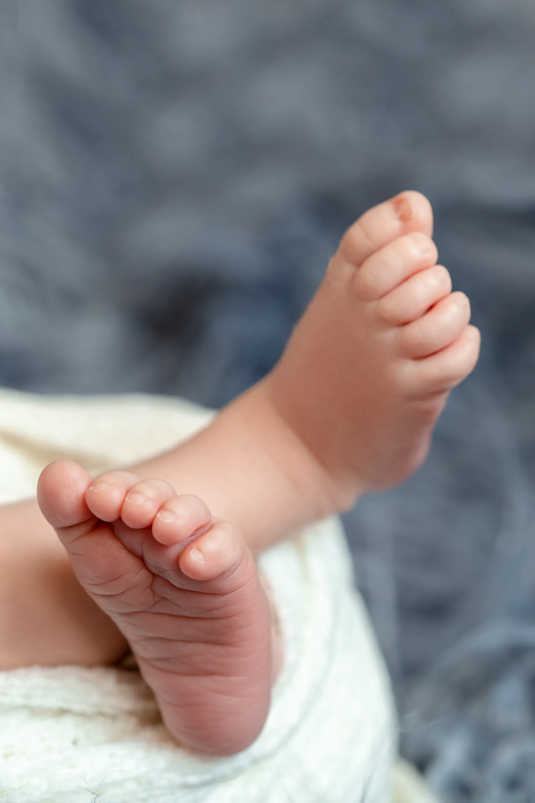 close up of small baby legs the sleeping newborn boy under a white knitted blanket lies on the blue fur newborn 14 days