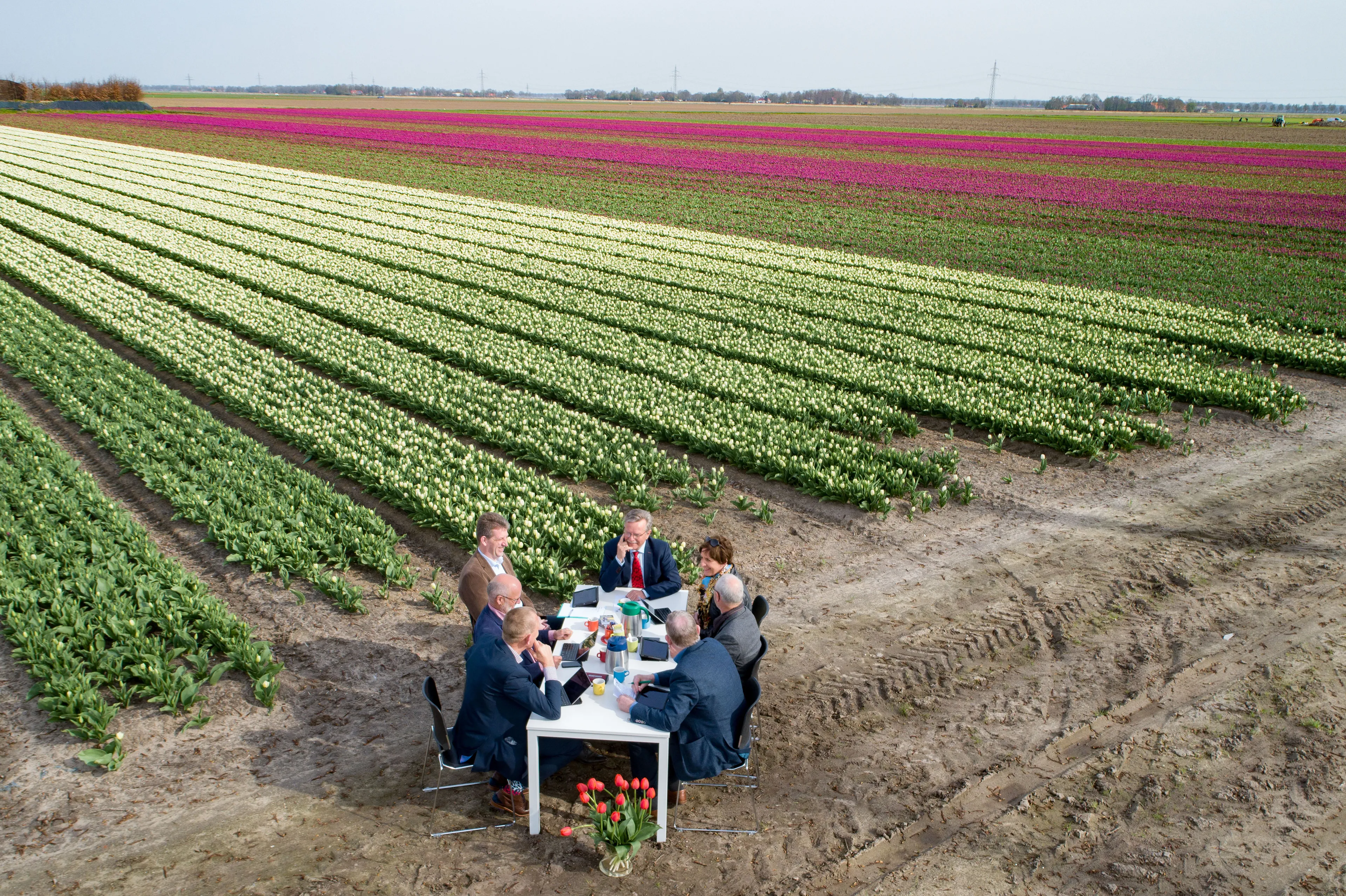 collegevergadering tulpenveld 1